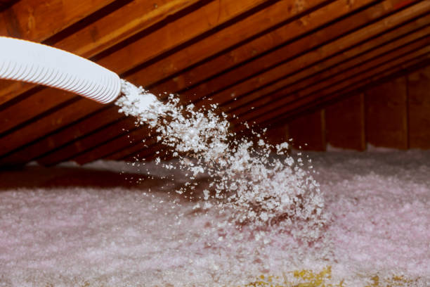 Best Insulation Maintenance and Repair in La Grange, IL