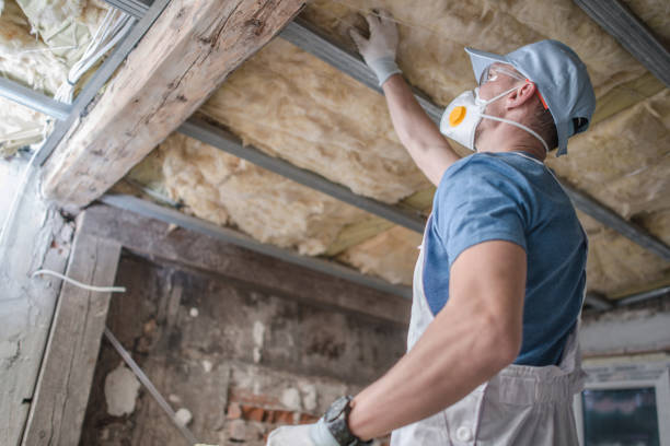 Best Cellulose Insulation in La Grange, IL