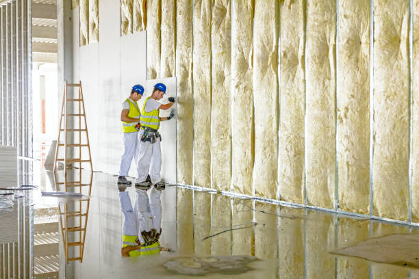 Best Cellulose Insulation in La Grange, IL